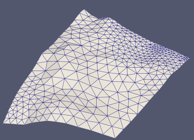 2d input mesh