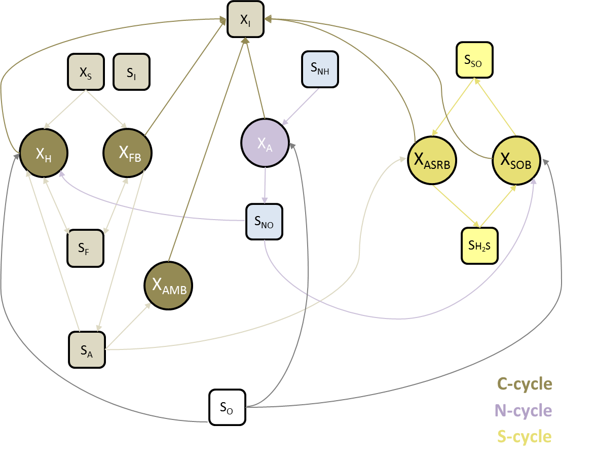 Network of microbiological reactions described by CWM1. $S_I$ = inert soluble organic matter (COD), $X_I$ = inert particulated COD, $X_S$ = Slowly biodegradable particulate COD, $S_F$ = Fermentable, readily biodegradable soluble COD, $S_A$ = Fermentation products as acetate, $S_{NH}$ = Ammonium and ammonia nitrogen, $S_{NO}$ = Nitrate and nitrite nitrogen, $S_O$ = Dissolved oxygen, $S_{SO}$ = Sulphate sulfur, $S_{H2S}$ = Sulphide sulfur; different type of bacteria are identified as $X_H$, $X_A$, $X_{FB}$, $X_{AMB}$, $X_{ASRB}$ and $X_{SOB}$